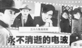 著名编剧爆料视频播放,爆款视频背后的幕后故事